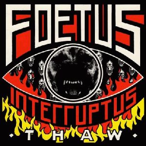 foetus-thaw