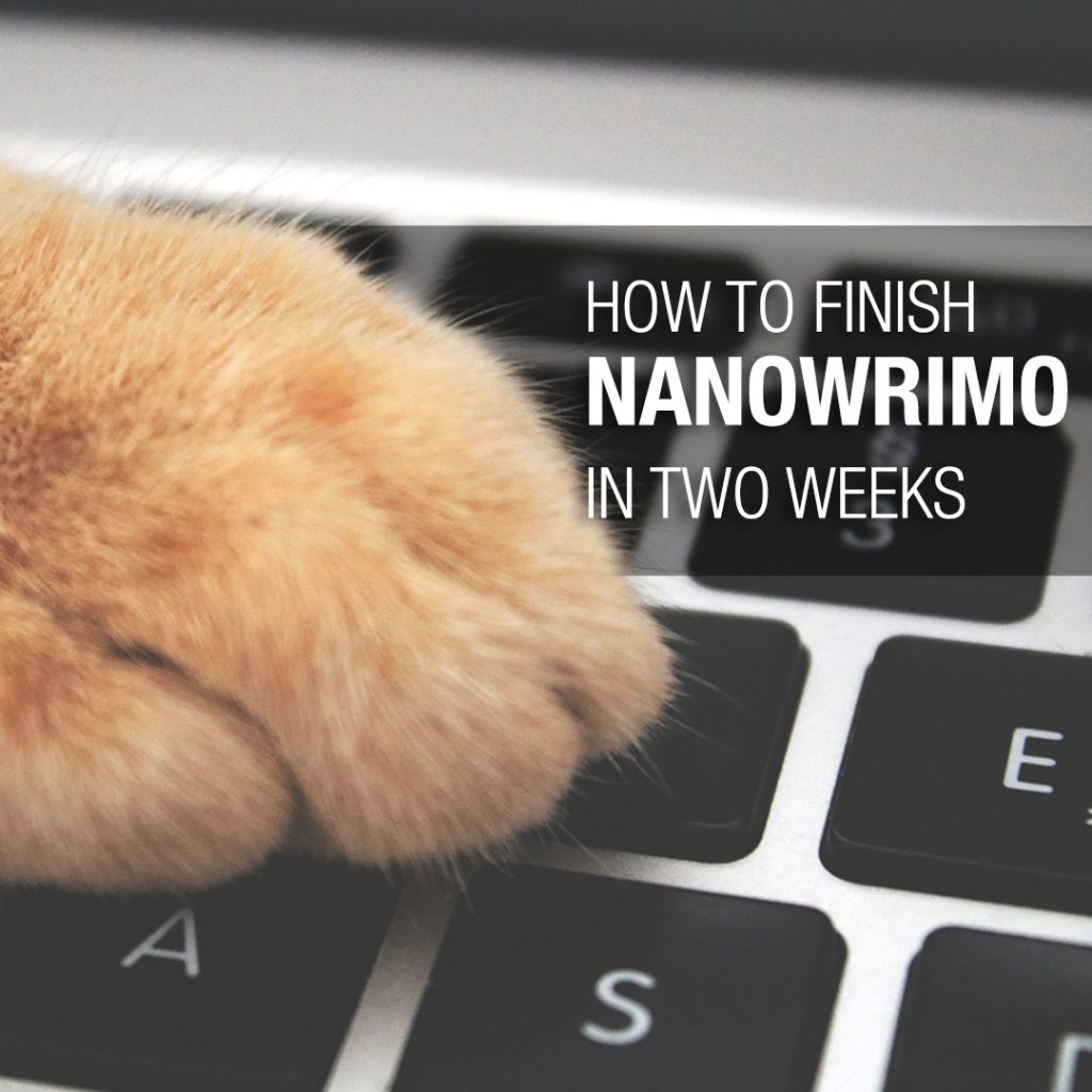 Finish NaNoWriMo in Two Weeks
