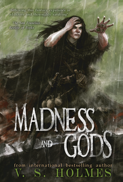 Madness and Gods Reforged Series by V. S. Holmes